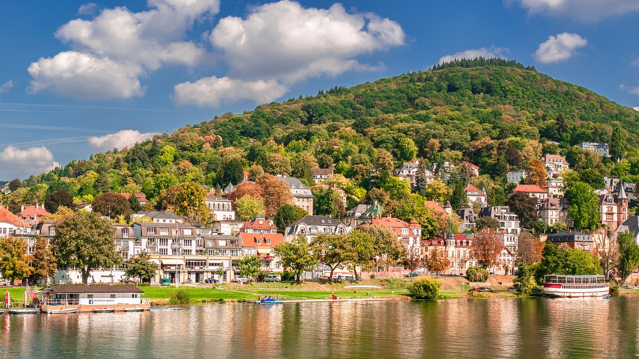 Heidelberg Neuenheim Neckarwiese